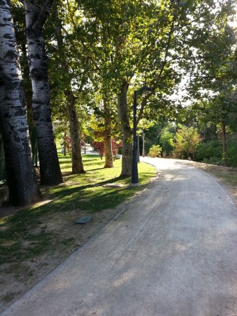 20130915-011313.jpg