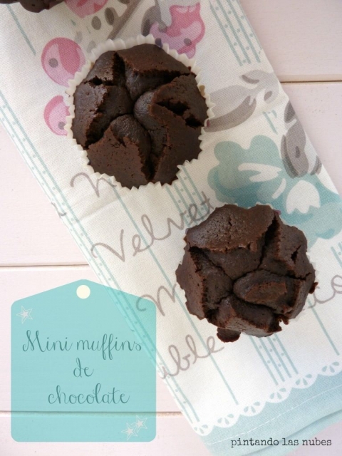 Magdalenas de chocolate