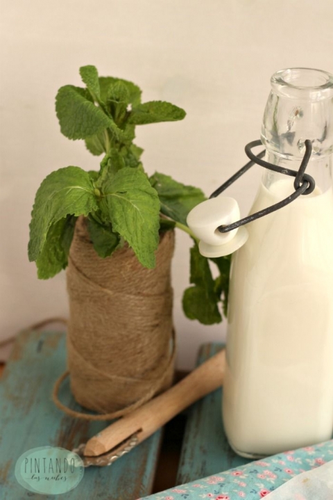 Hierbabuena fresca